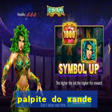 palpite do xande de hoje